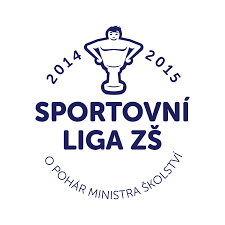 sportovni-liga